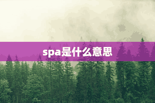 spa是什么意思(spa是什么意思 做些什么服务)